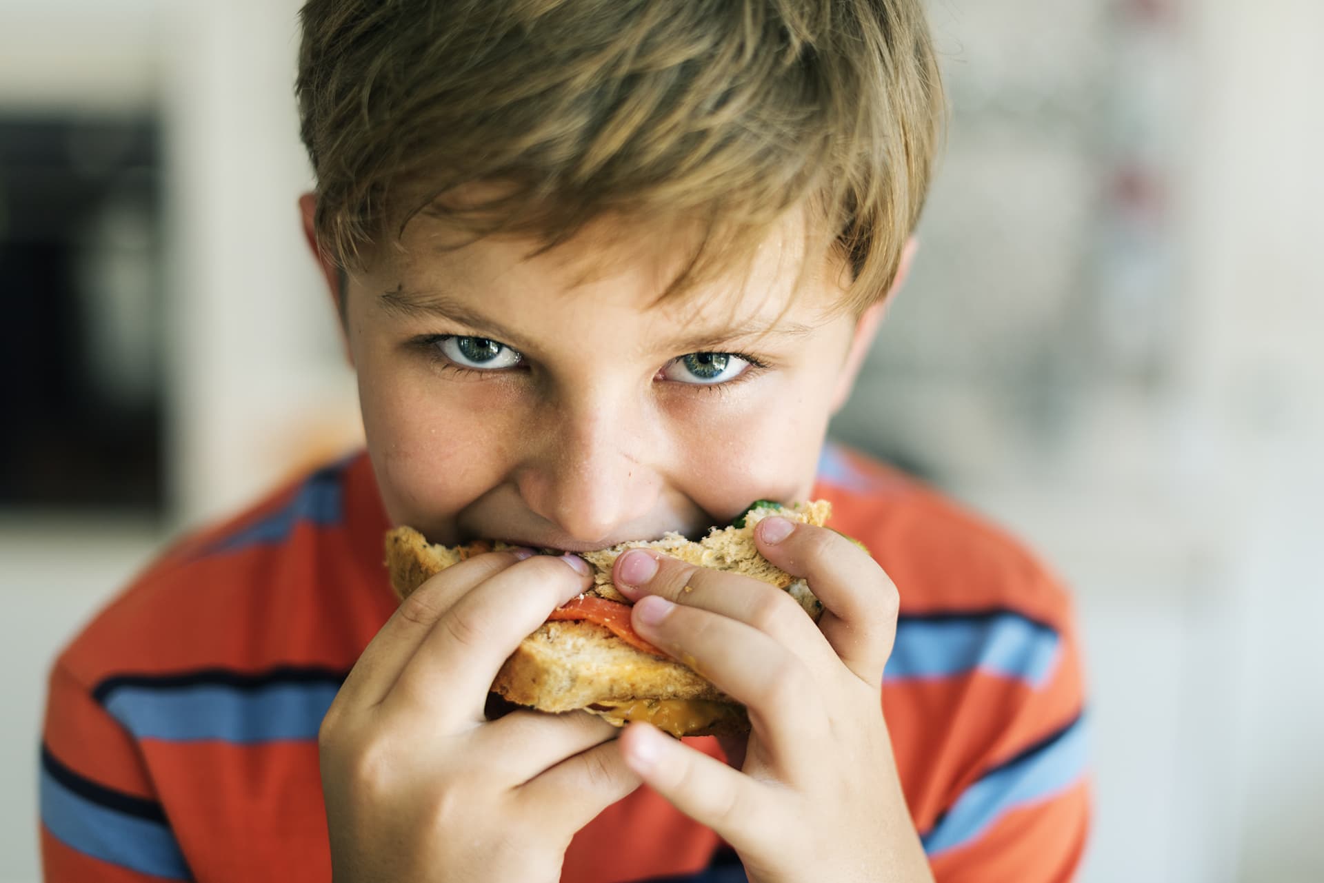 Merenda Scolastica Gluten Free